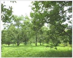  2024Ÿ71911  ֽ  Ÿ 32-3      (1)