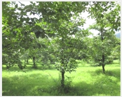  2024Ÿ71911  ֽ  Ÿ 32-3      (1)