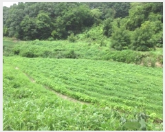  2024Ÿ71935  õ 빮 θ 69-1      ()