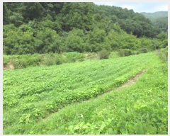  2024Ÿ71935  õ 빮 θ 69-1      ()