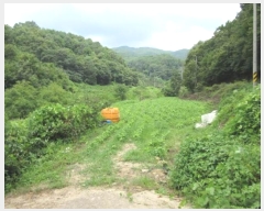  2024Ÿ71935  õ 빮 θ 69-1      ()