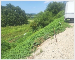  2024Ÿ71997  õ õ û 383      (1)