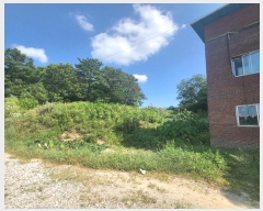  2024Ÿ71997  õ õ û 383      (1)