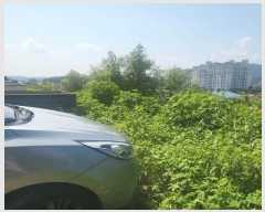  2024Ÿ71997  õ õ û 383      (1)