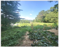  2024Ÿ71997  õ õ û 383      (1)