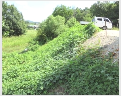  2024Ÿ71997  õ õ û 383      (1)