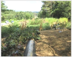  2024Ÿ71997  õ õ û 383      (1)