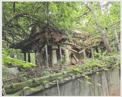  2024Ÿ��72341 ��� ����� ���� �캻�� 492-2      ����(����)���