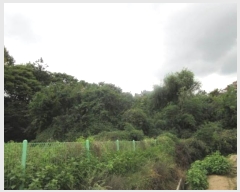  2024Ÿ��72341 ��� ����� ���� �캻�� 492-2      ����(����)���