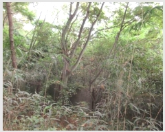  2024Ÿ��72341 ��� ����� ���� �캻�� 492-2      ����(����)���