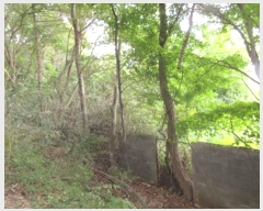  2024Ÿ��72341 ��� ����� ���� �캻�� 492-2      ����(����)���