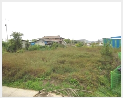  2024Ÿ��72518 ��� ��õ�� ��õ�� ��ɸ� 645-1      ����(��1)���