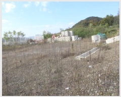  2024Ÿ72594  õ  Ÿ 708-9      ,繫ǰ