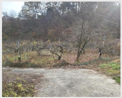  2024Ÿ��72792 ��� ���ֽ� �ܳ��� ���� ��49-1      ����(�Ӿ�)���