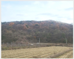  2024Ÿ��72792 ��� ���ֽ� �ܳ��� ���� 902      ����(��1)���