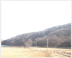  2024Ÿ��72792 ��� ���ֽ� �ܳ��� ���� 902      ����(��1)���