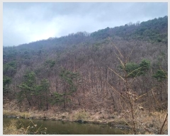  2024Ÿ��72839  �Ӿ߰��