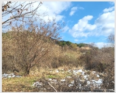  2024Ÿ��72839  �Ӿ߰��