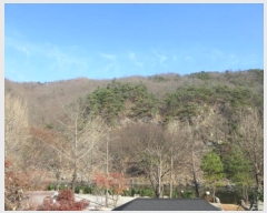  2024Ÿ��72839  �Ӿ߰��