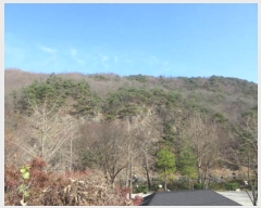  2024Ÿ��72839  �Ӿ߰��