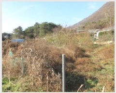  2024Ÿ��72839  �Ӿ߰��