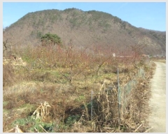  2024Ÿ��72839  �Ӿ߰��