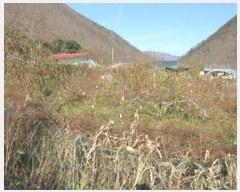  2024Ÿ��72839  �Ӿ߰��