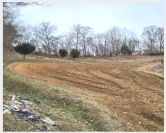  2024Ÿ��72877  ����