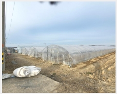  2024Ÿ��72877  ����