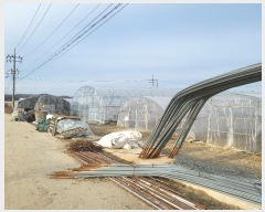  2024Ÿ��72877  ����