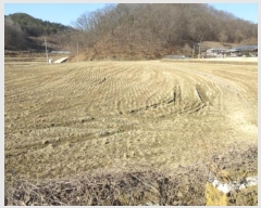  2024Ÿ��72990  ����