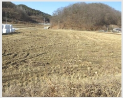  2024Ÿ��72990  ����