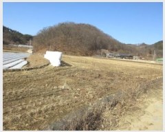  2024Ÿ��72990  ����