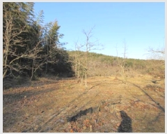  2024Ÿ��73054  ����