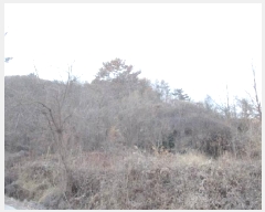  2024Ÿ��73054  ����