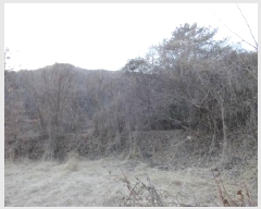  2024Ÿ��73054  ����