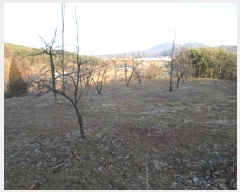  2024Ÿ��73054  ����