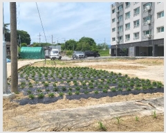  2024Ÿ766  õ ø θ 208      ()