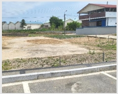  2024Ÿ766  õ ø θ 208      ()