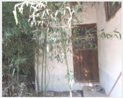  2024Ÿ1165  ֽ   750-5      ()