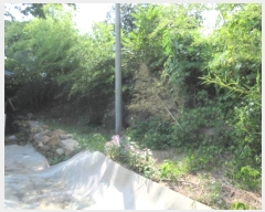  2024Ÿ1165  ֽ   750-5      ()