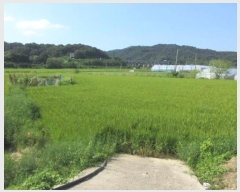  2024Ÿ1165  ֽ   750-5      ()