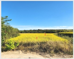  2024Ÿ1585  õ ȣ ۰ 461      ()