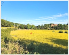  2024Ÿ1585  õ ȣ ۰ 461      ()