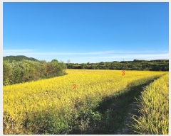  2024Ÿ1585  õ ȣ ۰ 461      ()