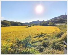  2024Ÿ1585  õ ȣ ۰ 461      ()