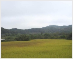  2024Ÿ1585  õ ȣ ۰ 461      ()