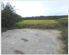  2024Ÿ1585  õ ȣ ۰ 461      ()