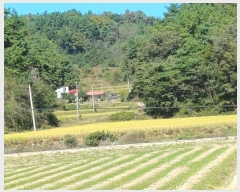  2024Ÿ1721  õ ȣ 긮 703      ()