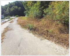  2024Ÿ1721  õ ȣ 긮 703      ()